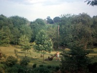 Clarissa1963  "the gardener" with Gravely tractor mower