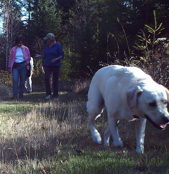 Debbie_and_Joanne_and_Deke_100811.jpg - Debbie, Joanne, & Deke