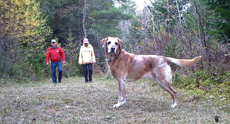 Fuzzy_and_Lola_and_Ginger_102511.jpg - Fuzzy, Lola, & Ginger