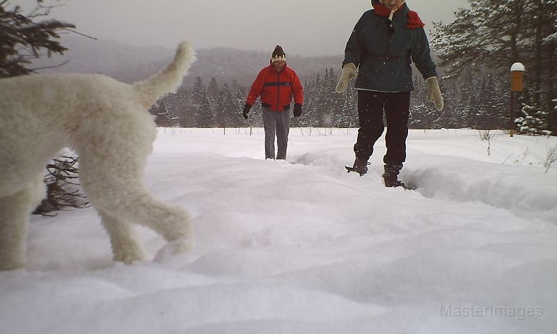 Maddie_Lola_Fuzz_013011.jpg - Maddie and friends