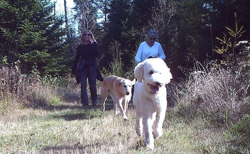 Niki_and_Otto_and_Cheryl_and_Maddie_100611.jpg - Niki, Cheryl, Otto, & Maddie