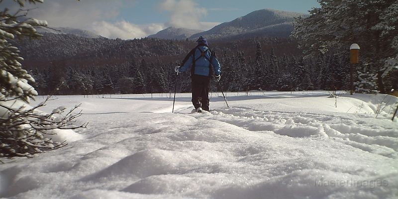 Stick_SentinelRange_012911.jpg - "Stick"